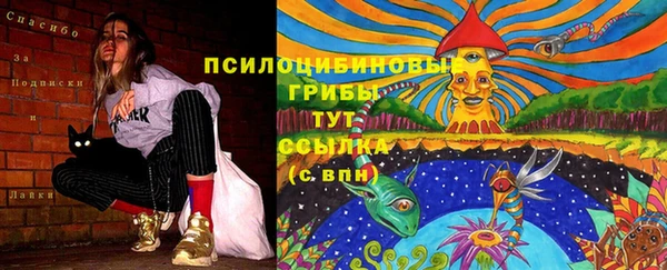 дмт Алзамай