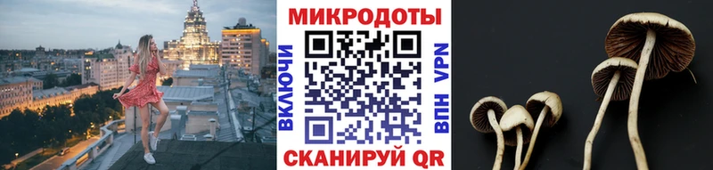 Галлюциногенные грибы Psilocybe shop какой сайт Дорогобуж цена наркотик