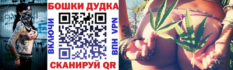 дарнет шоп  Дорогобуж  Шишки марихуана конопля 